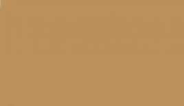 UA137 Sandbraun RLM 79a
